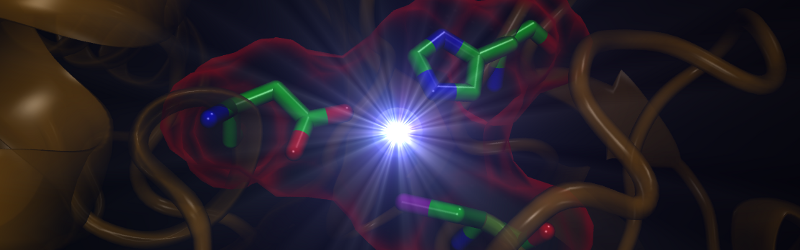 Network Pharmacology