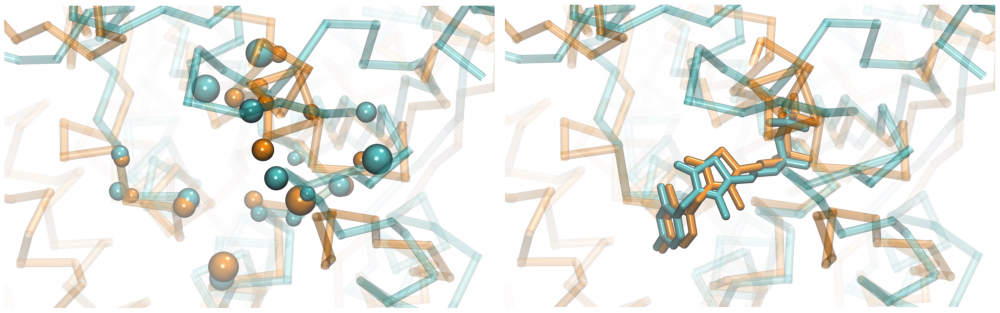 Ligand-binding site alignment