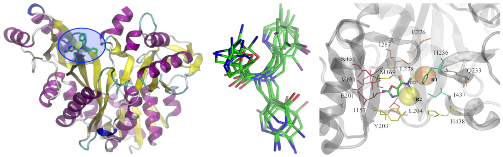 Redesign of biotin carboxylase inhibitors