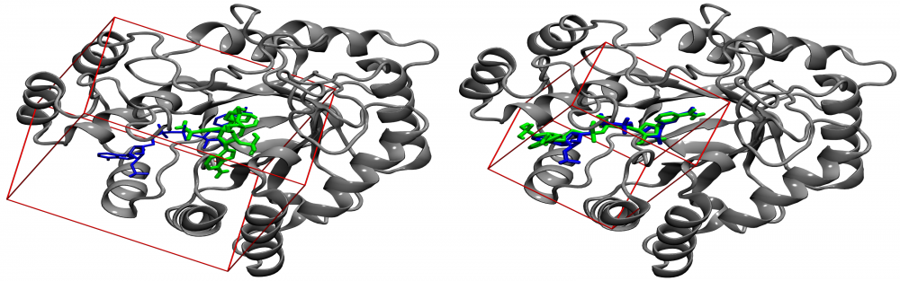 Optimization of docking parameters
