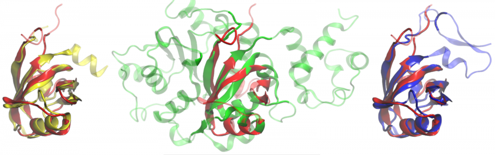 Protein sequence optimization