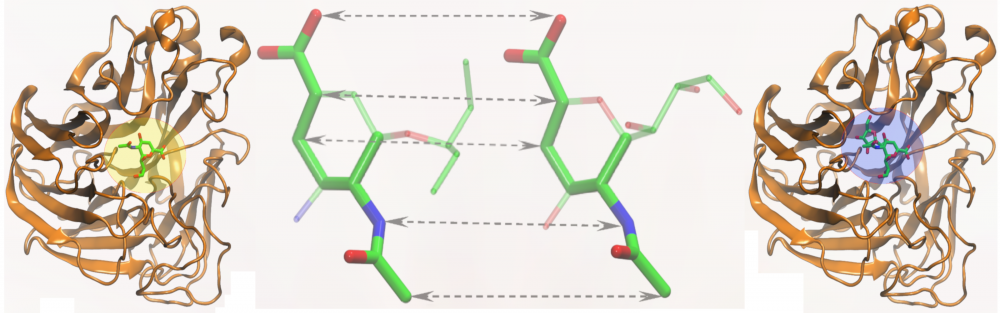Similarity-based ligand docking