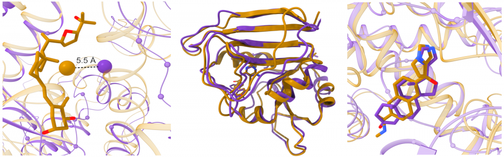 Large-scale modeling of protein-drug interactions