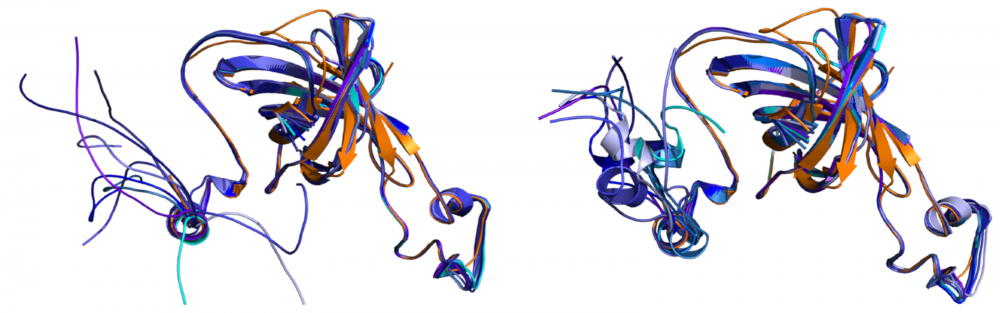 Structure and function of photosystem II