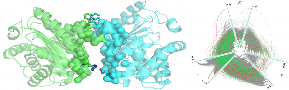 Modeling of protein-protein interactions
