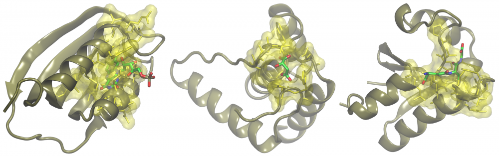 Annotation of small proteins