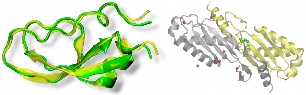 Protein structure and function modeling
