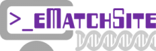 eMatchSite